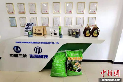 科技賦能長(zhǎng)江生態(tài)修復(fù) 岸上綠意盎然，水中碧波重現(xiàn)